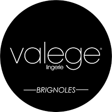 Valege - logo